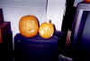 01 pumpkins.jpg (93174 bytes)